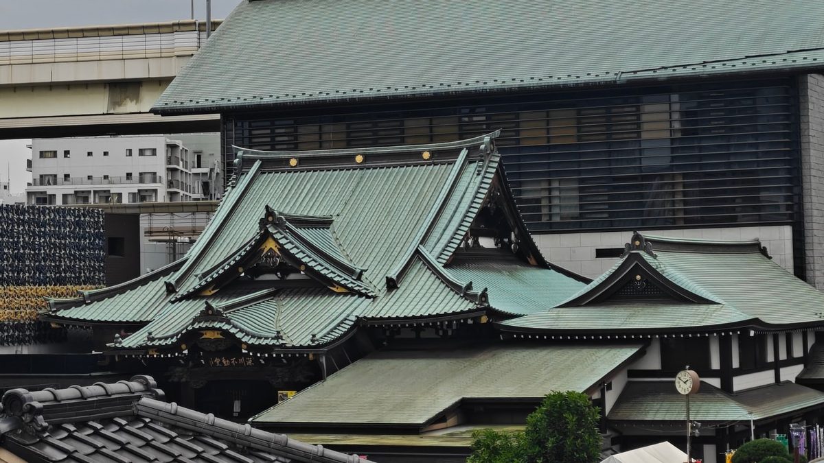从屋顶望向街区，寺院的绿铜屋顶与高层住宅